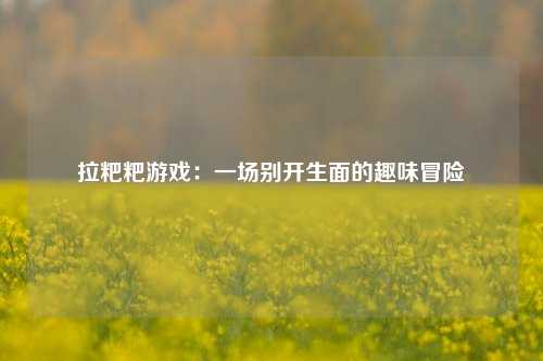 拉粑粑游戏:一场别开生面的趣味冒险