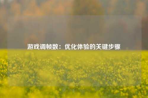 游戏调帧数：优化体验的关键步骤