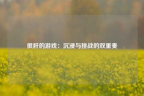 很肝的游戏：沉浸与挑战的双重奏